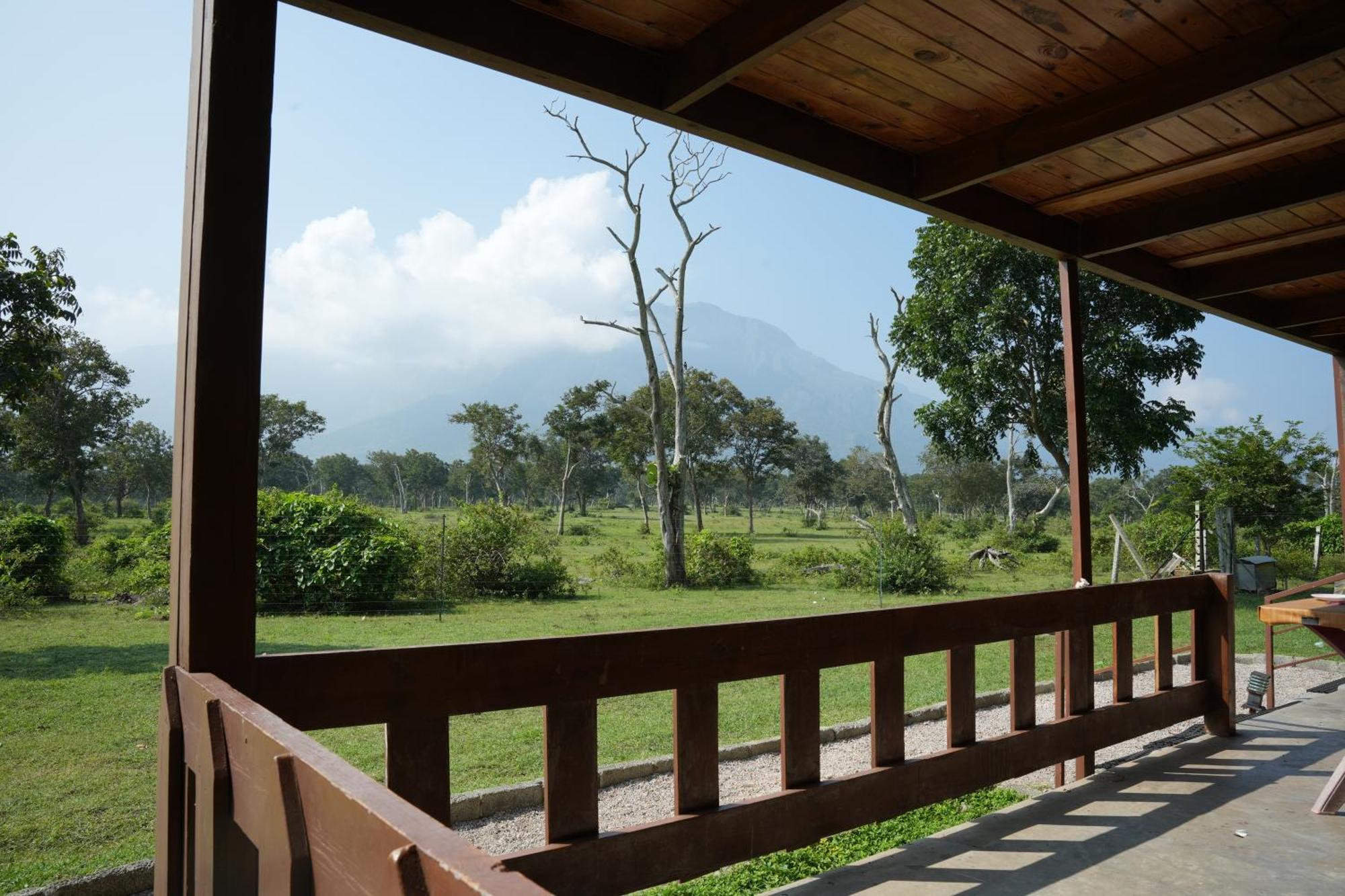 Labdhi Resorts Masinagudi- Stag Groups Not Allowed Exterior foto